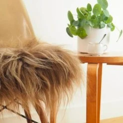 Maison Thuret Galette De Chaise En Peau De Mouton Islandais Marron 37 X 37 Cm -Maisons Du Monde Boutique galette de chaise en peau de mouton islandais marron 37 x 37 cm 1