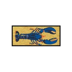 Wadiga Paillasson En Coco Multicolore 70x30